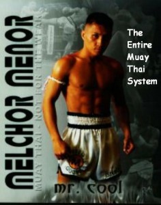 The Complete Muay Thai Home Study Course with Scott Bam Bam Sullivan (6 DVD Set)