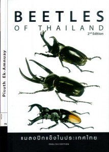 Beetles of Thailand